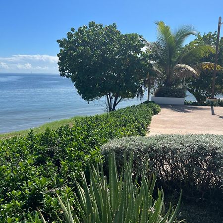 Bayfront Villa & Apartment Portmore Kültér fotó