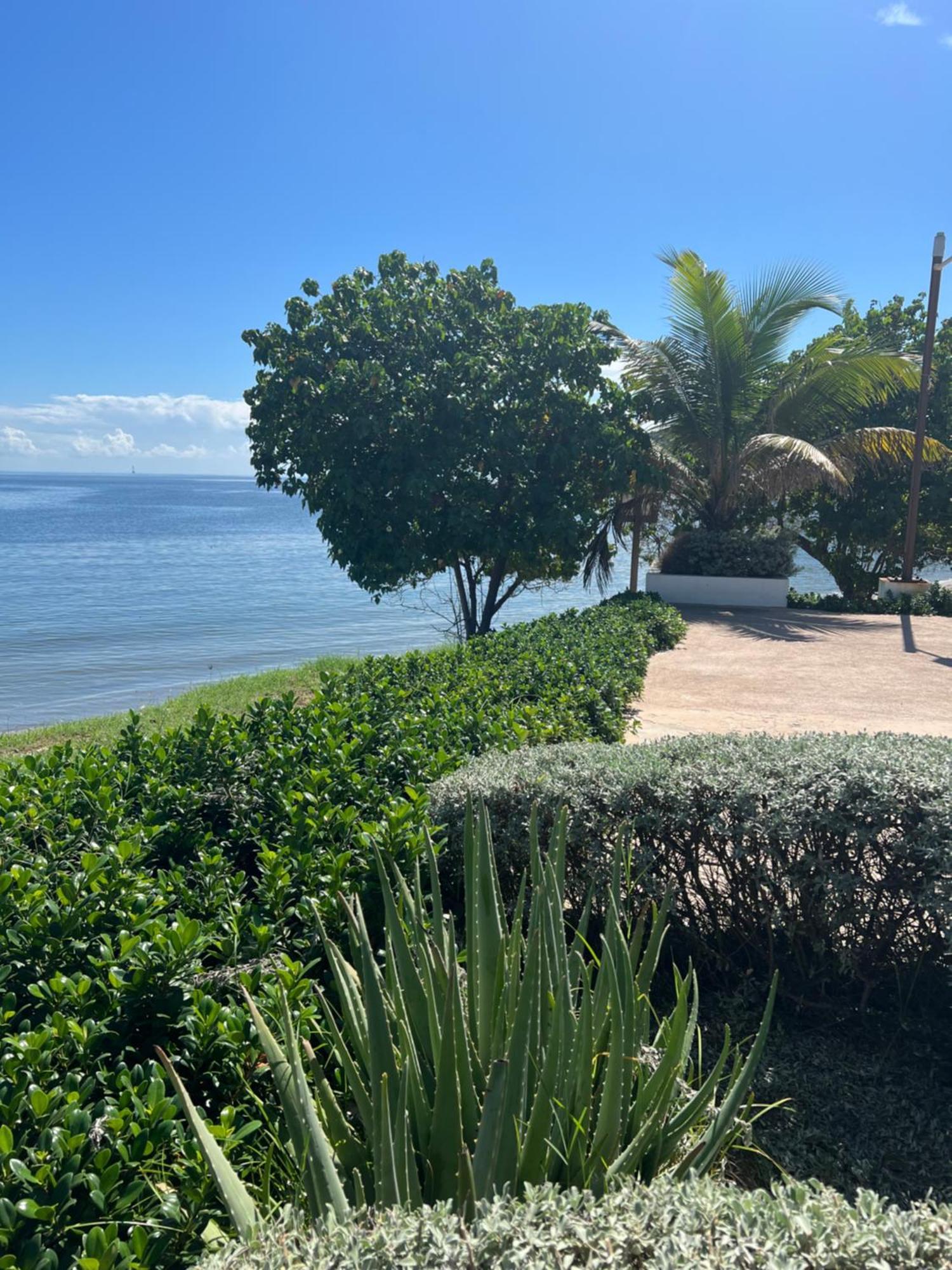 Bayfront Villa & Apartment Portmore Kültér fotó